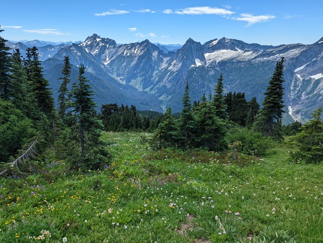 Dickerman's meadow | Mountain Loop