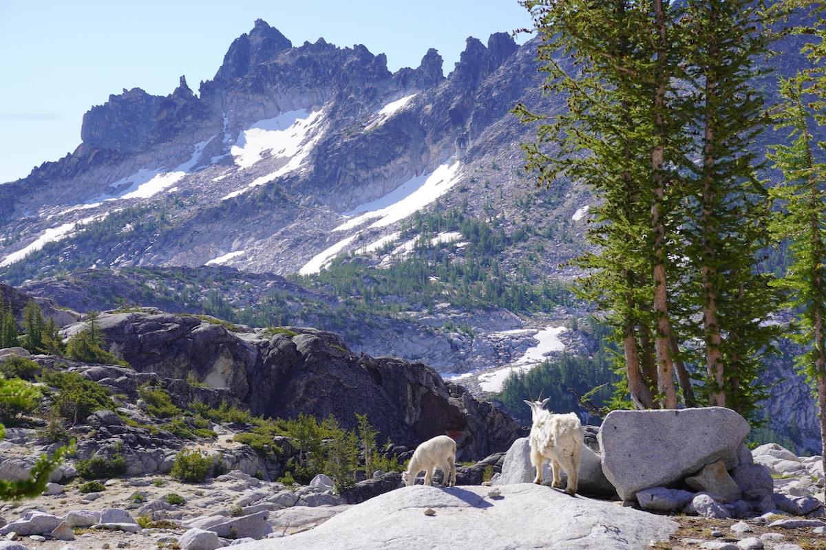 The Enchantments