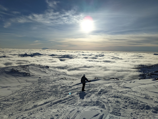 Stairway to Paradise | Mt. Rainier